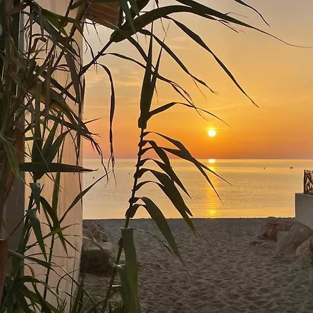 Apartment 4 Pers A Avec Clim, Wifi Et Parking - Fr-1-776-117 Argeles-sur-Mer